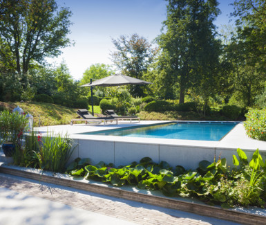 Inox buitenzwembad aangelegd door Van Eeeckhout Zwembaden in exotische tuin