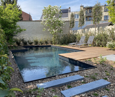 biozwembad aangelegd door Dhaenens Pools and Gardens in stadstuin